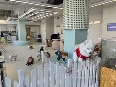 -怪兽屋·羊驼·猫咖·狗咖(俊华广场店)