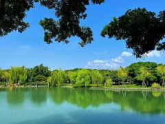 -江心屿景区