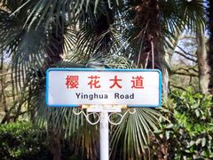 -武汉大学-樱园