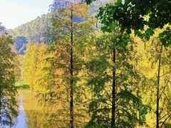 -火炉山森林公园