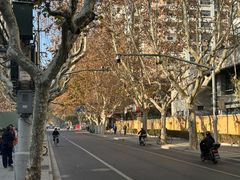 -上海市徐汇区口腔医院