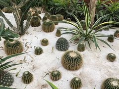 -河北霸州茗汤日月潭温泉