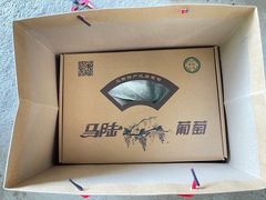 -马陆小张葡萄园农家乐