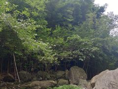 -井空里大峡谷