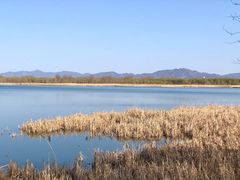 -野鸭湖国家湿地公园