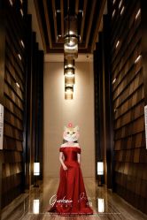 -MuseMarry婚纱(前海嘉里中心店)