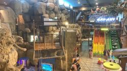 -卡通尼·Safari非洲探索乐园·生日会(金桥国际商业广场店)