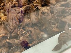 -震九州熟食(凯旋路店)