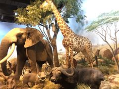 -陕西自然博物馆