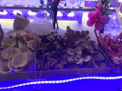 海鲜-339旋转餐厅(天府熊猫塔店)