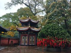-峨眉山报国寺