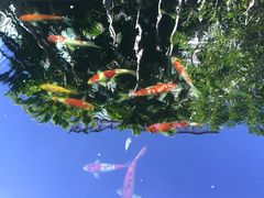 iphone_upload_pic-曼谷铂尔曼皇权酒店