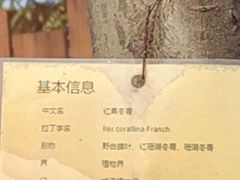 -武汉动物园