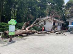 -广州市帽峰山景区