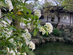 -沧浪亭