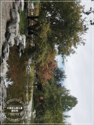 -大望京儿童游乐场