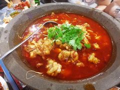 石锅牛蛙-虎虎龙虾大排档(双井店)