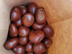 -秋栗香(地安门店)