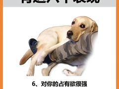 -唐小姐の猫狗洗护·购宠旗舰店(周浦万达店)