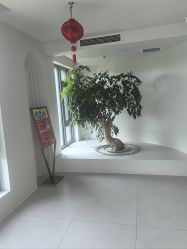 -爱月时月子会所·贝萌店