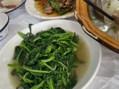 -明升萝卜汤