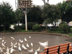 -南昌之星游乐场