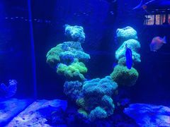 -海合安武汉极地海洋公园