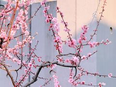 -静安雕塑公园