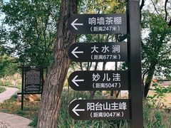 -阳台山自然风景区