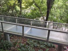 -木兰云雾山