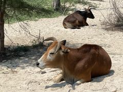 -ONE SMILE 美式烟熏慢烤(壹方汇店)