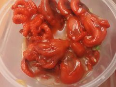 芝麻八爪鱼-元气寿司(金光华店)