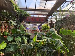 -呀路古热带植物园