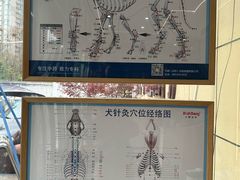 -西安京西宠物医院·瘫痪·疑难杂症