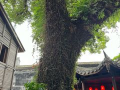 景观位-星巴克(福州三坊七巷店)