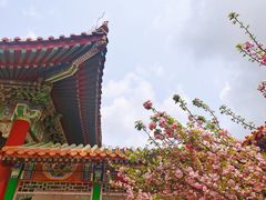 -珠海圆明新园