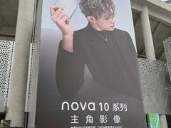 -华润深圳湾体育中心-“春茧” 体育馆