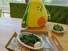 -油梨树AVOCADO TREE(望京店)