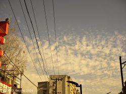 -男先生男士理发馆