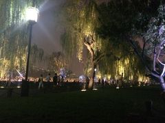 -家烧面馆【南山路知名经典面食】