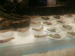 -半岛翡丽海鲜自助餐厅(观风亭店)