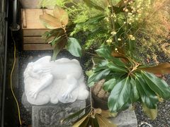 -苏州本色美术馆