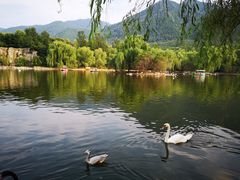 -西安秦岭野生动物园