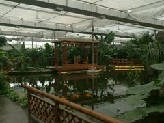 -汤山翠谷生态餐厅