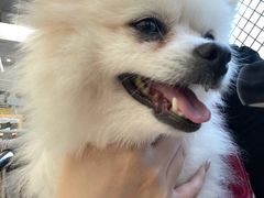 -怪兽屋·羊驼·猫咖·狗咖(俊华广场店)