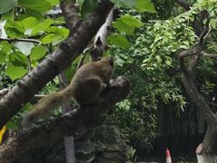 -宣武艺园