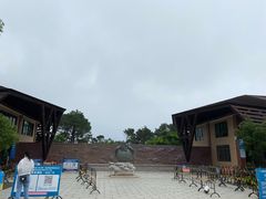 -广东惠东海龟国家级自然保护区
