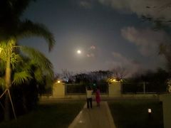 -九毛九西北菜(大东海店)