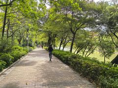 -怡海公园(桂城街道)