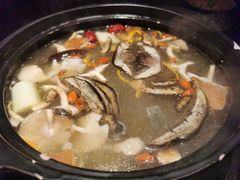 -芸鲜季·云南野生菌餐厅· 云南风物味研社(闵行店)